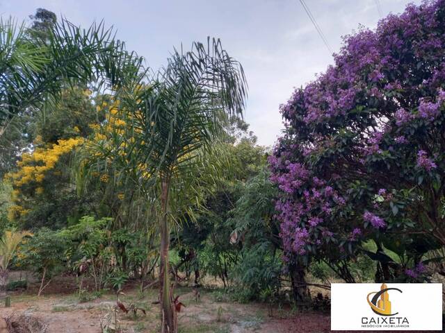 Sítio para Venda em Caete (Mailasqui) - 41