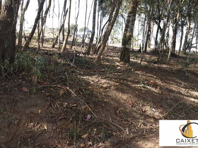 Terreno para Venda em São Roque - 5