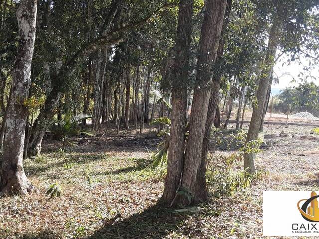 Terreno para Venda em São Roque - 4