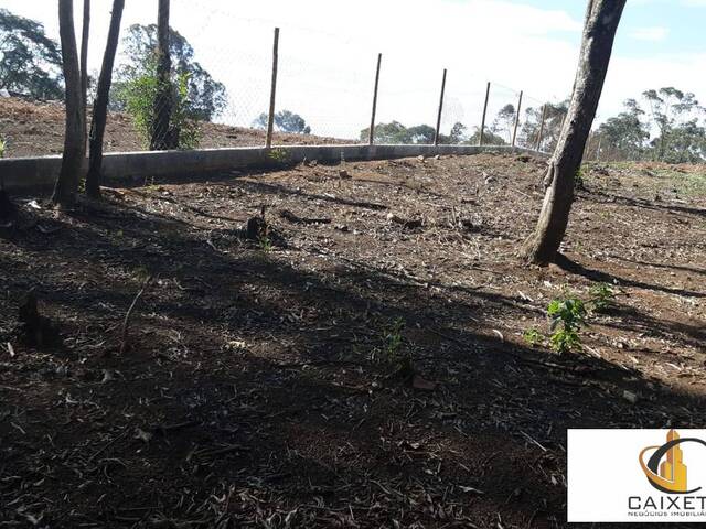 Terreno para Venda em Caete (Mailasqui) - 6