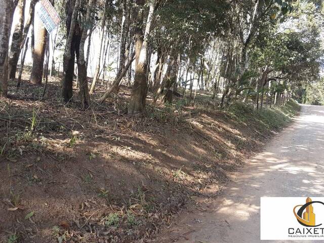 Terreno para Venda em Caete (Mailasqui) - 7