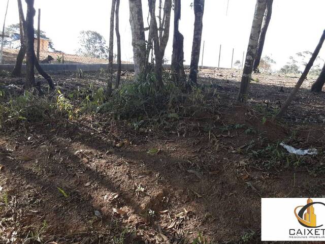 Terreno para Venda em Caete (Mailasqui) - 8