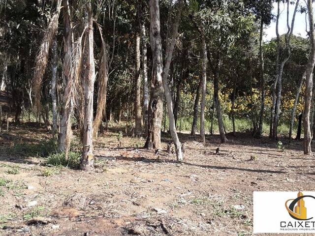Terreno para Venda em Caete (Mailasqui) - 10