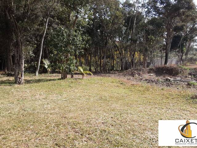 Terreno para Venda em Caete (Mailasqui) - 14