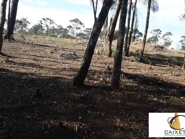 Terreno para Venda em Caete (Mailasqui) - 13