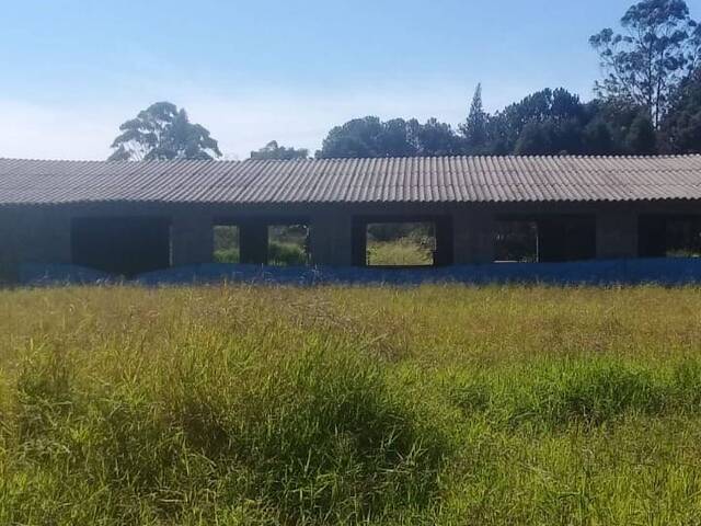 Chácara para Venda em São Roque - 4
