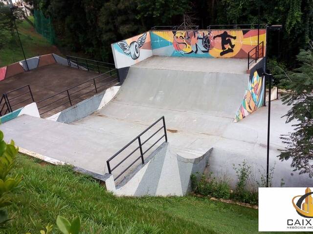 Pista de Skate