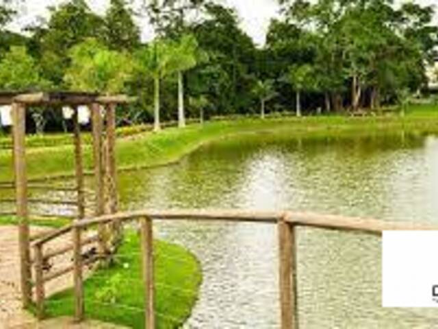 lago do condominio