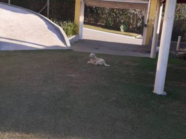 Chácara para Venda em Porta dos Sol - 11