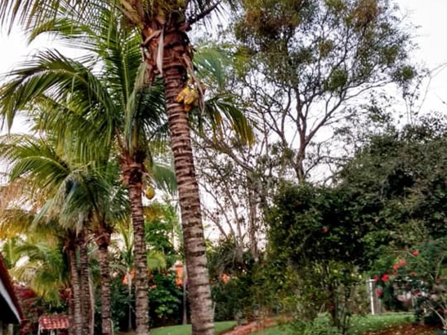 Chácara para Venda em Jardim Bela Vista - 12