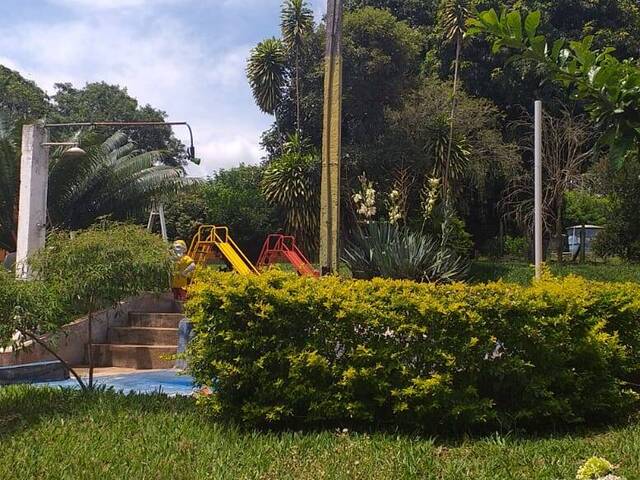 Sítio para Venda em Bela Vista - 6