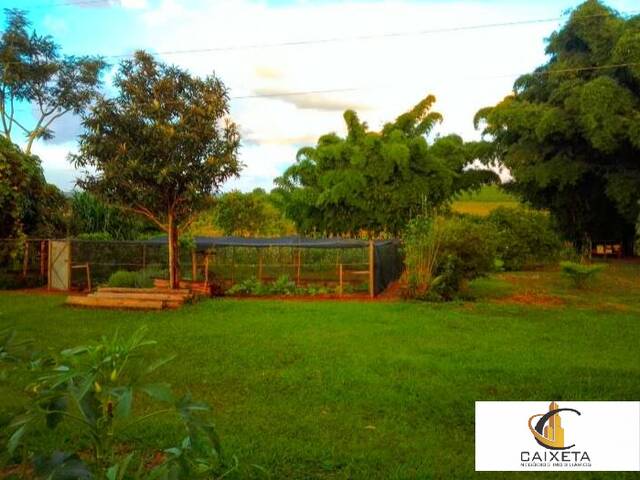 Sítio para Venda em Bela Vista - 15