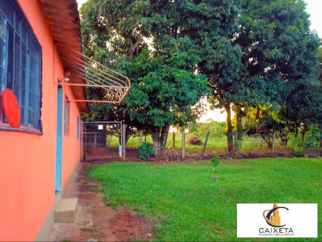 Sítio para Venda em Bela Vista - 13