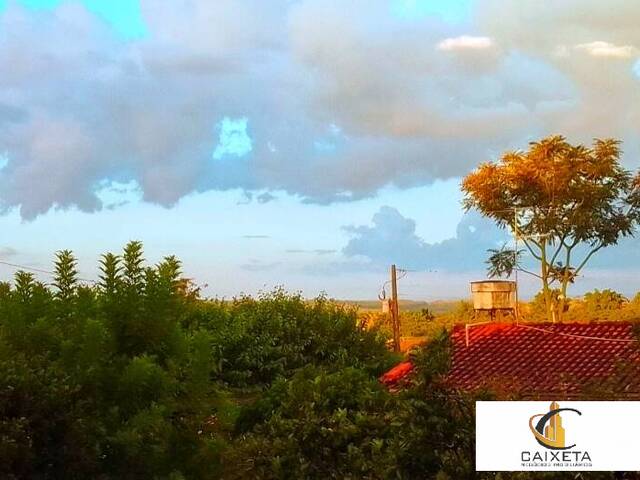 Sítio para Venda em Bela Vista - 14
