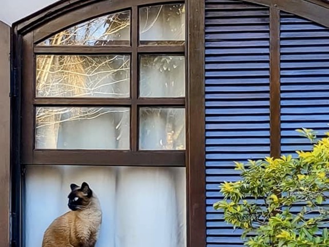 Chácara para Venda em Vila Nossa Senhora Aparecida - 21