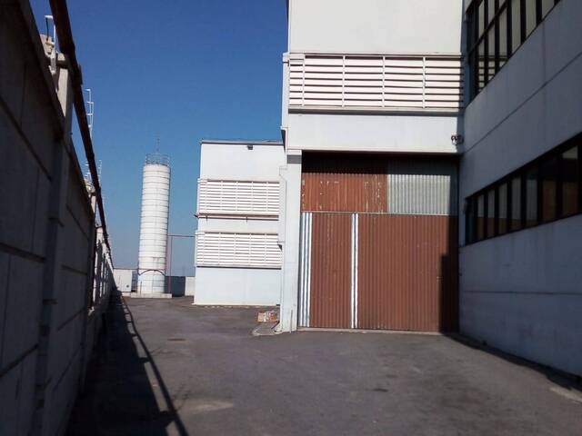 Galpão para Locação em Industrial Anhangüera - 32