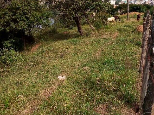 #1136 - Terreno para Venda em Barueri - SP - 1