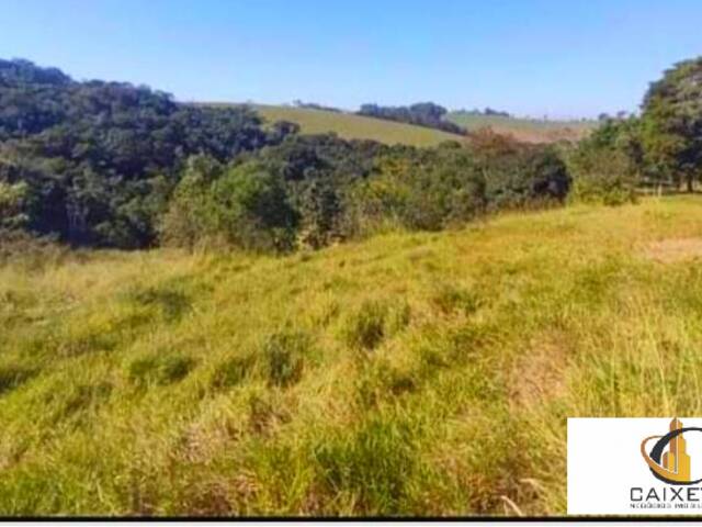 Chácara para Venda em Rio Baixo - 6