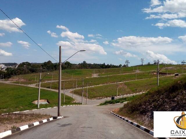 Terreno para Venda em Chácara Jaguari (Fazendinha) - 6