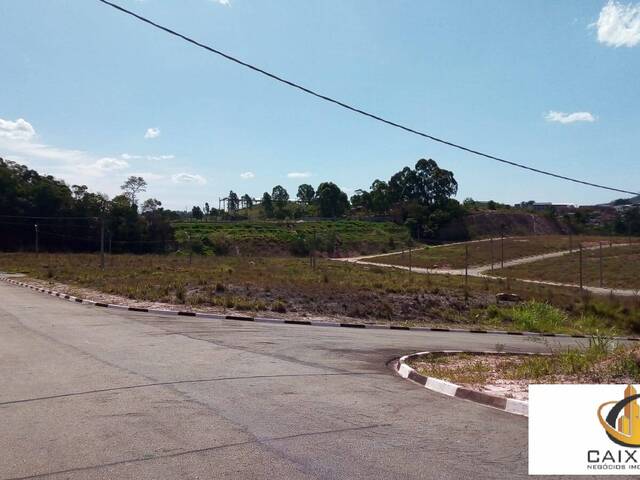 Terreno para Venda em Chácara Jaguari (Fazendinha) - 7