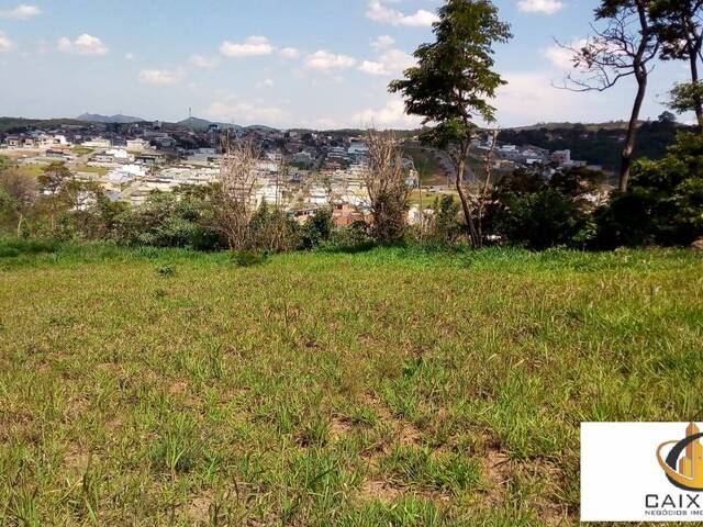 Terreno para Venda em Chácara Jaguari (Fazendinha) - 8