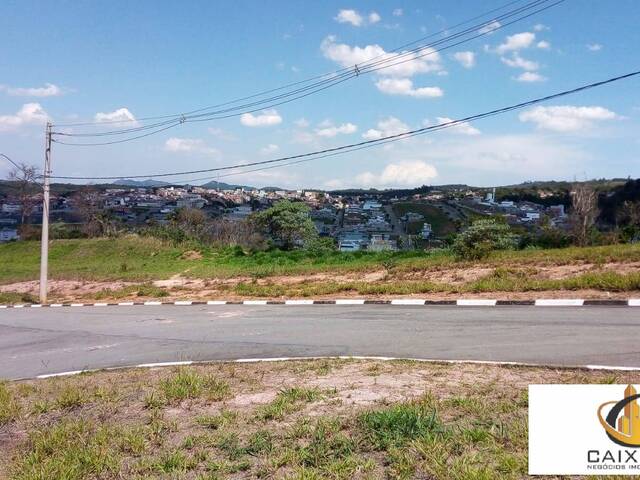 Terreno para Venda em Chácara Jaguari (Fazendinha) - 11