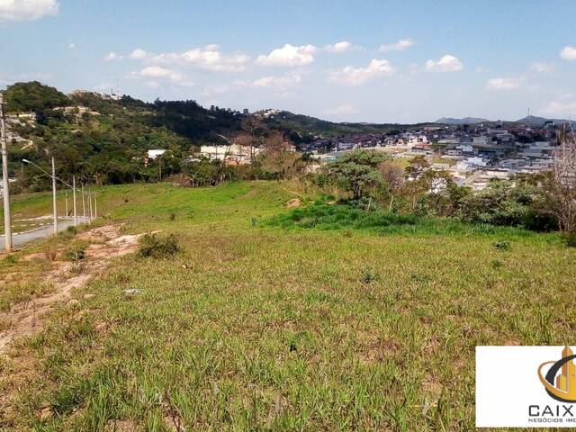 Terreno para Venda em Chácara Jaguari (Fazendinha) - 9