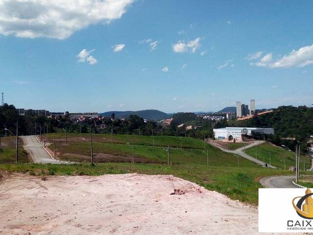 Terreno para Venda em Chácara Jaguari (Fazendinha) - 13
