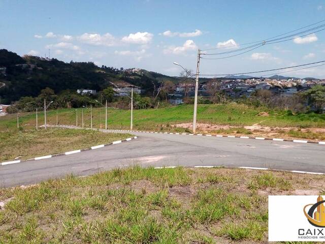 Terreno para Venda em Chácara Jaguari (Fazendinha) - 12