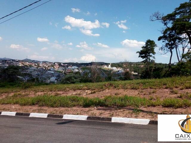 Terreno para Venda em Chácara Jaguari (Fazendinha) - 14