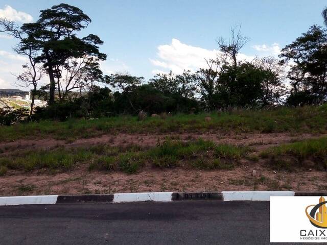 Terreno para Venda em Chácara Jaguari (Fazendinha) - 16