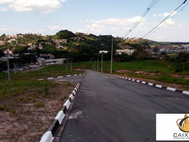 Terreno para Venda em Chácara Jaguari (Fazendinha) - 15