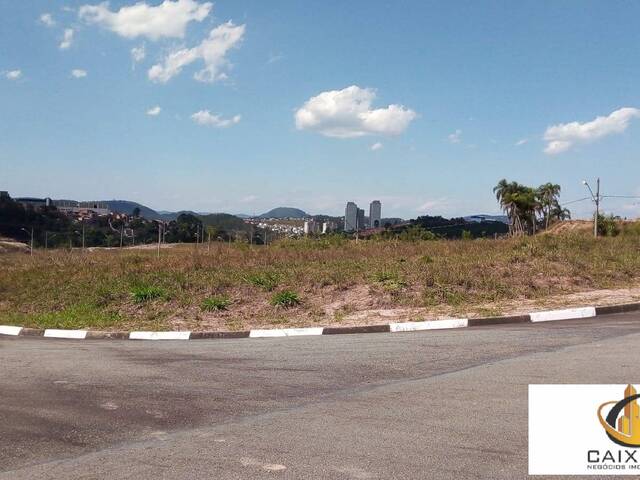Terreno para Venda em Chácara Jaguari (Fazendinha) - 21