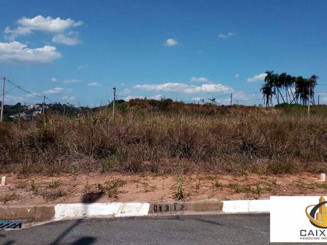 Terreno para Venda em Chácara Jaguari (Fazendinha) - 24