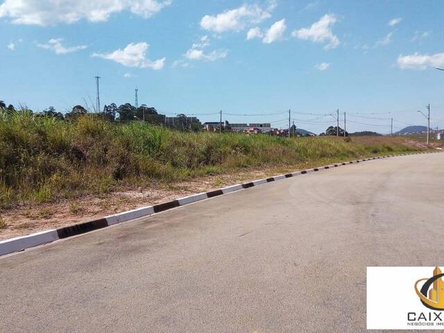 Terreno para Venda em Chácara Jaguari (Fazendinha) - 27