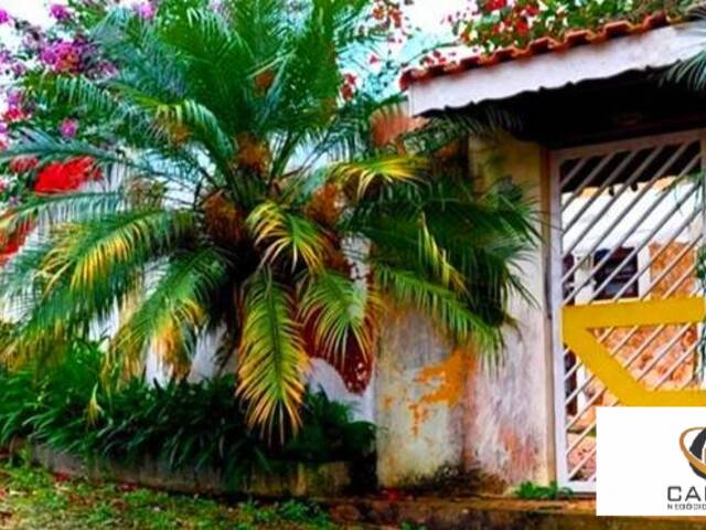 Chácara para Venda em Mirante da Serra (Mailasqui) - 16