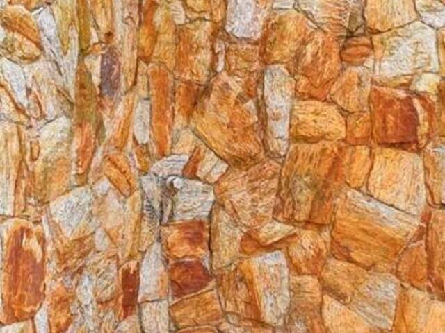Chácara para Venda em Mirante da Serra (Mailasqui) - 8