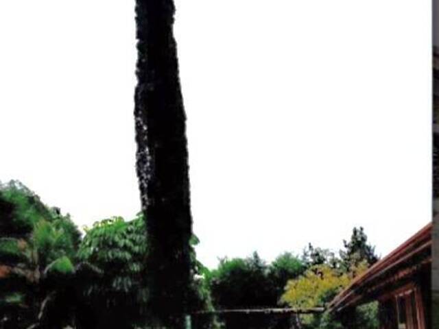 Chácara para Venda em Mirante da Serra (Mailasqui) - 26