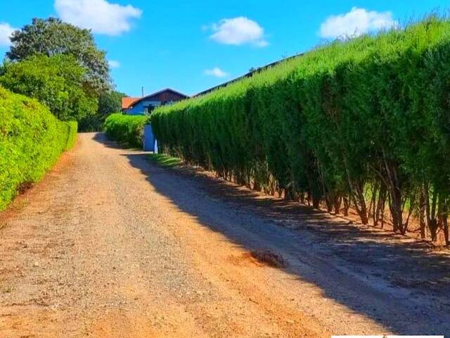 Haras para Venda em Centro - 8
