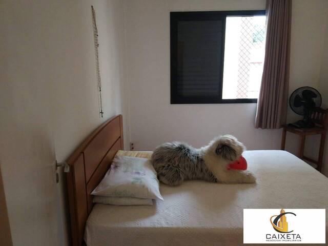 Apartamento para Venda em Jardim Tupanci - 11