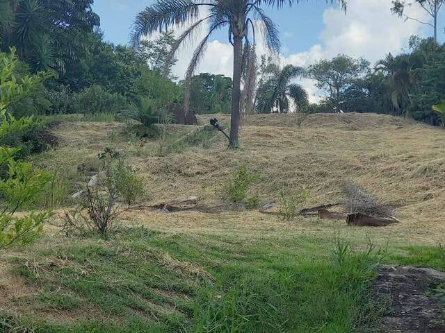 Chácara para Locação em Valinhos - 5