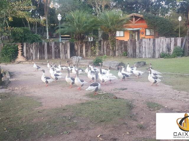 Chácara para Locação em Centro - 44