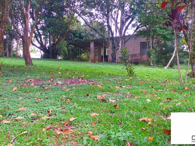 Chácara para Venda em Planalto Verde - 8
