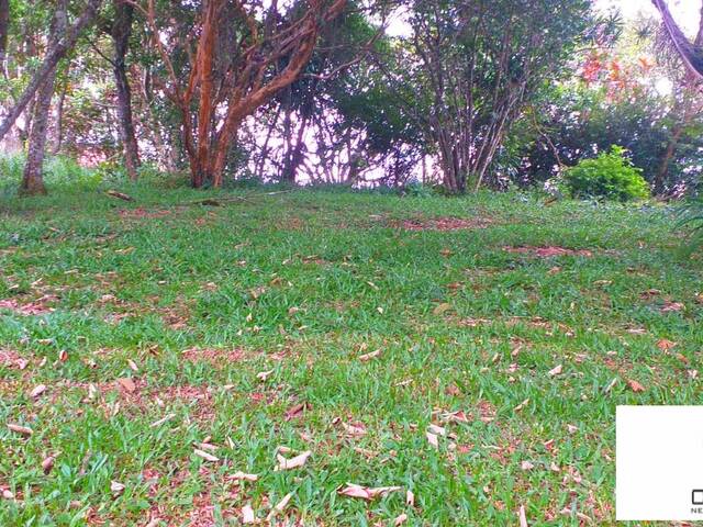 Chácara para Venda em Planalto Verde - 9
