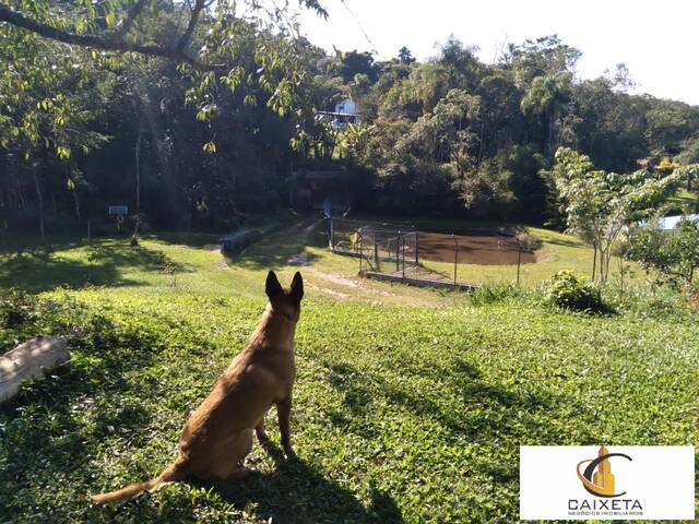 Chácara para Venda em Planalto Verde - 20