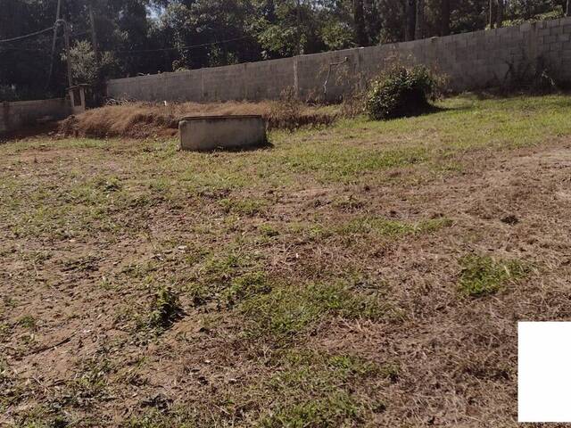 Chácara para Venda em Bairro do Carmo (Canguera) - 75