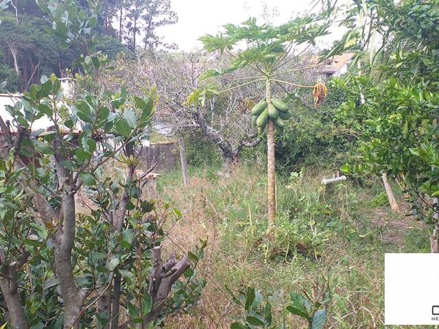 Casa para Venda em Jardim Villaça - 10