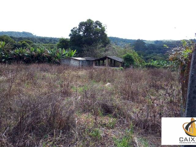 Chácara para Venda em Centro (Canguera) - 41