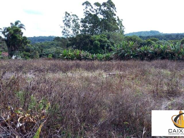 Chácara para Venda em Centro (Canguera) - 42