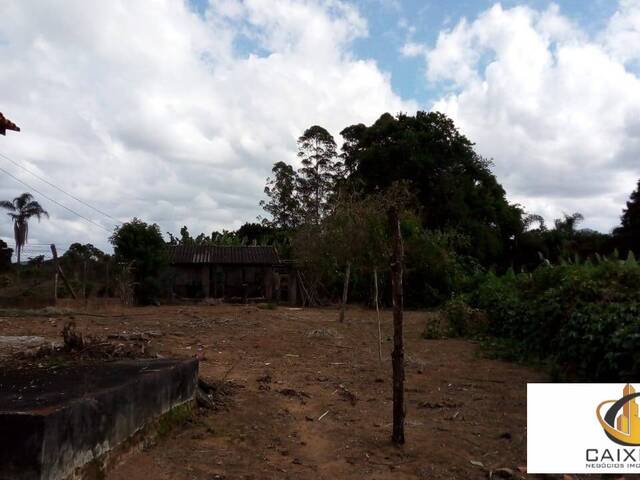 Chácara para Venda em Centro (Canguera) - 44